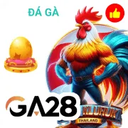 123k Game 09